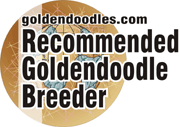 Goldendoodle.com Recommended